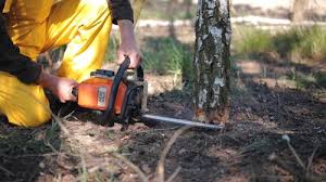 Best Lawn Grading and Leveling  in Hampton, TN